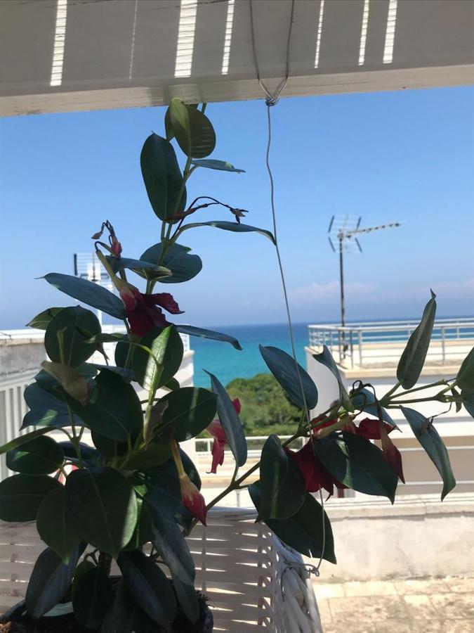 سان فوكا B&B Vistamareblu المظهر الخارجي الصورة