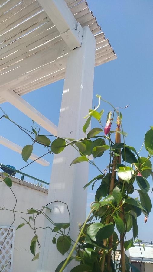 سان فوكا B&B Vistamareblu المظهر الخارجي الصورة